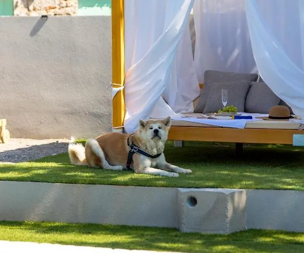 Mirjam With Swimming Pool, Jacuzzi And Sea View Villa *